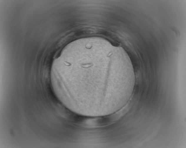 X0000113900178200910221446