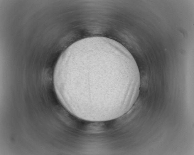 X0000113900179200910221446