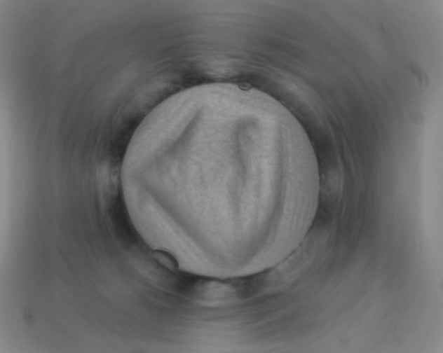 X0000113900180200910221446