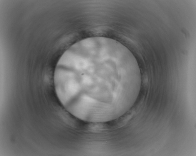 X0000113900181200910221446