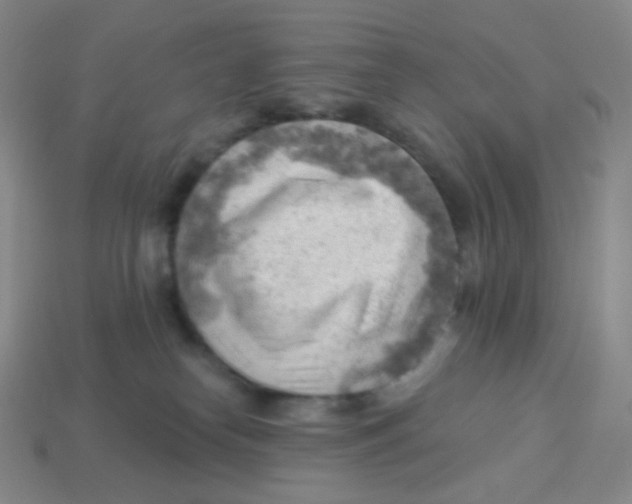 X0000113900182200910221446