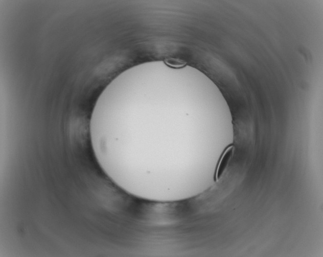 X0000113900184200910221446