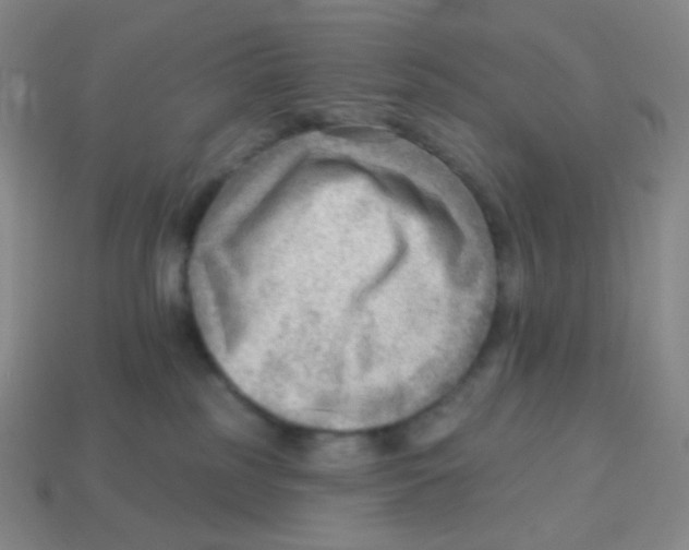 X0000113900185200910221446