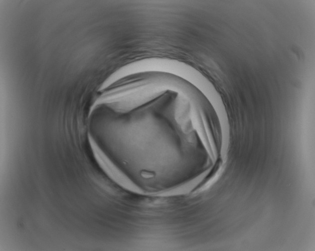X0000113900186200910221446