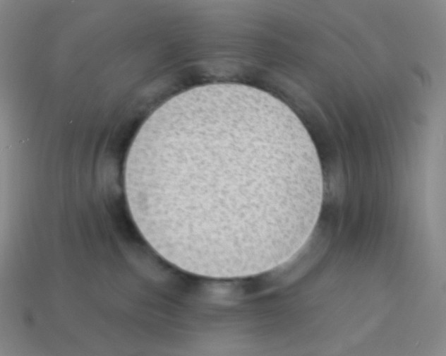X0000113900187200910221446