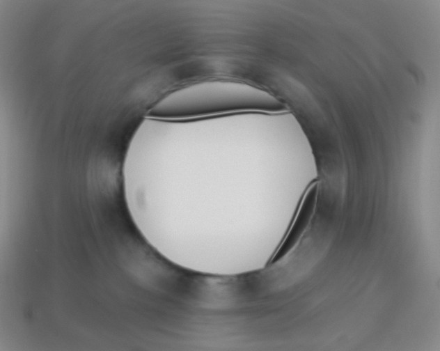X0000113900188200910221446