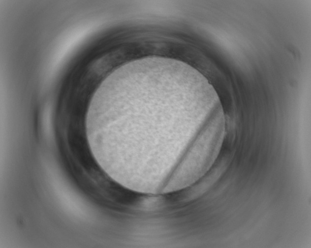 X0000113900189200910221446