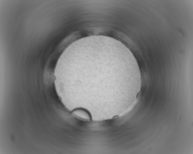 X0000113900191200910221446