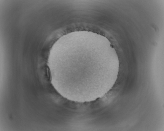 X0000113900192200910221446