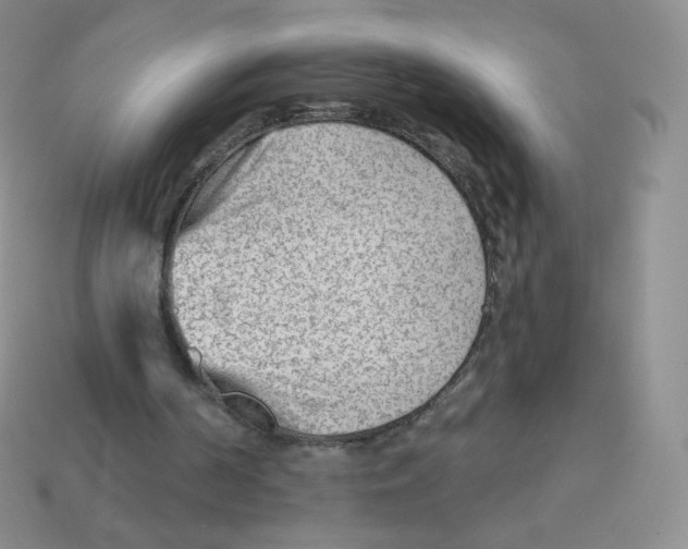 X0000113900194200910221445