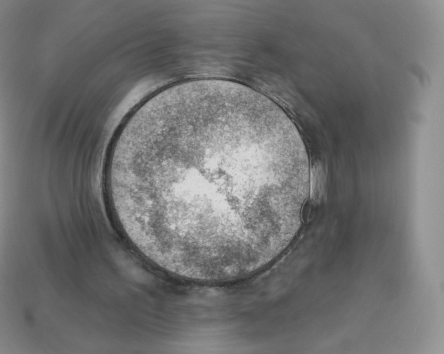 X0000113900195200910221445