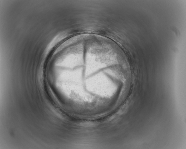 X0000113900198200910221445