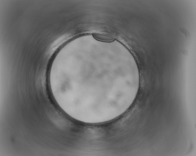 X0000113900199200910221445