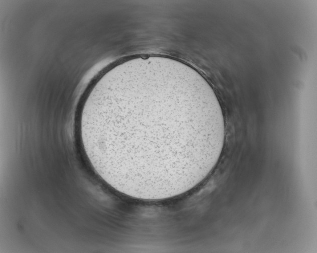 X0000113900200200910221445