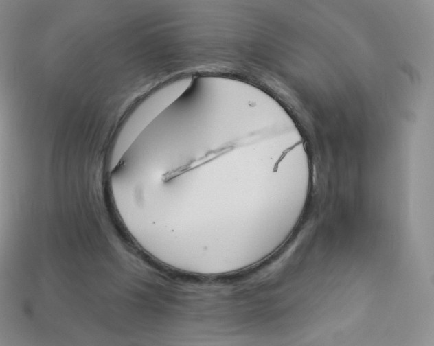 X0000113900201200910221445