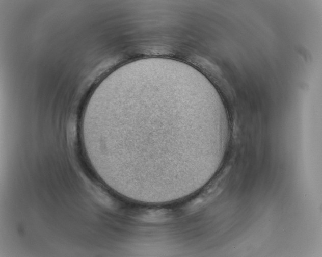 X0000113900202200910221445