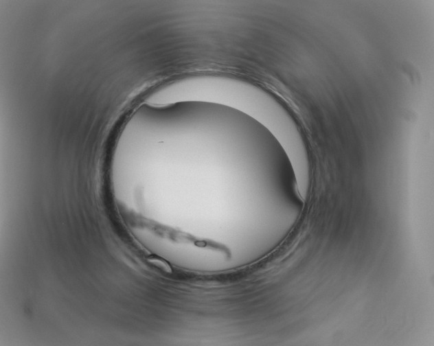 X0000113900203200910221445