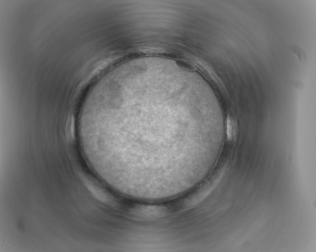 X0000113900205200910221445