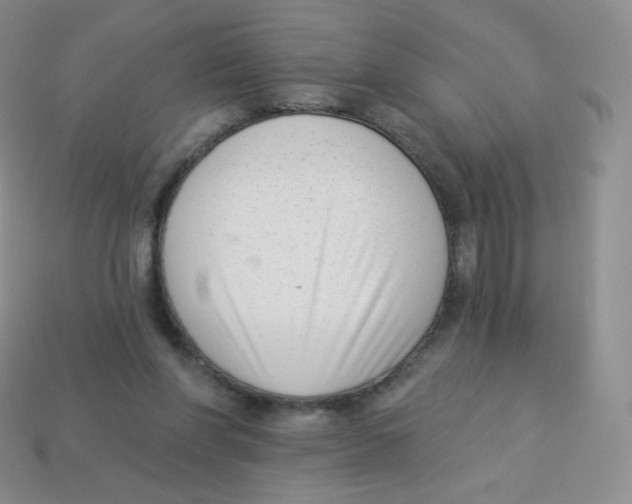 X0000113900206200910221445