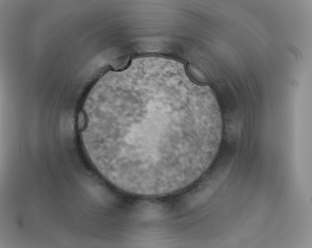 X0000113900207200910221445