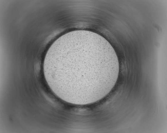 X0000113900208200910221445