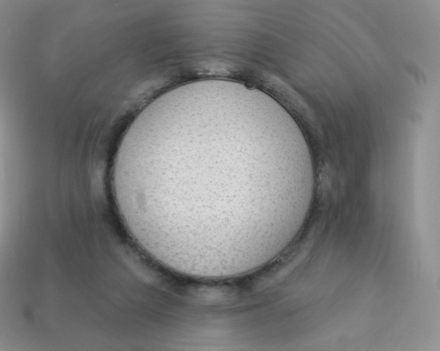 X0000113900209200910221445