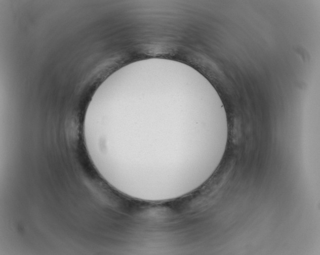 X0000113900210200910221445