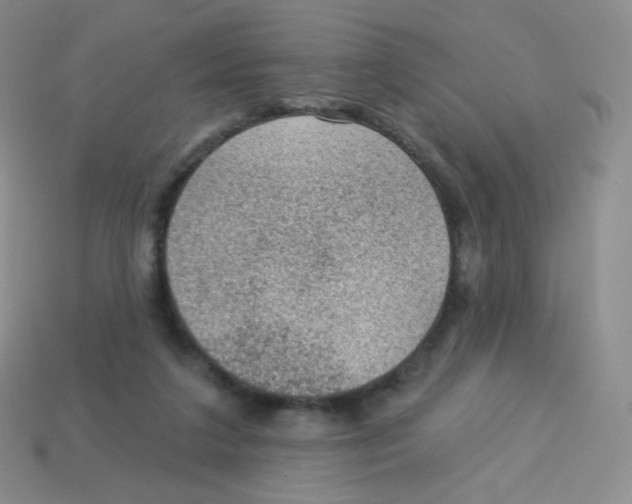 X0000113900211200910221445