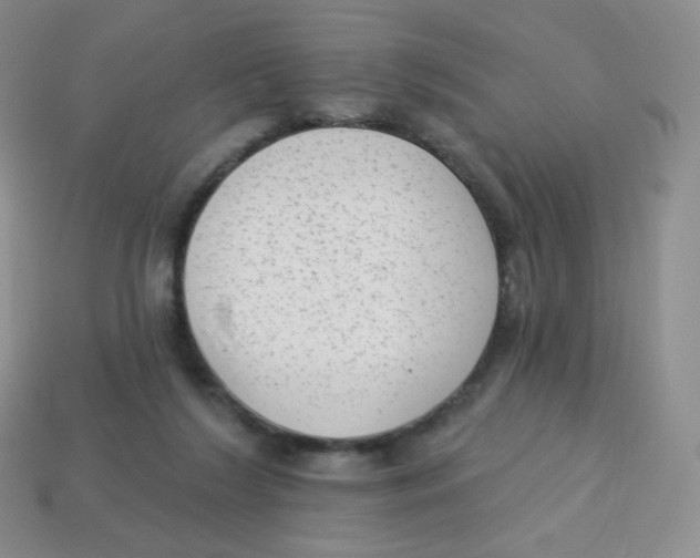 X0000113900212200910221445