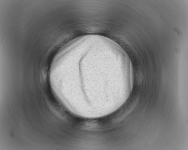 X0000113900214200910221445
