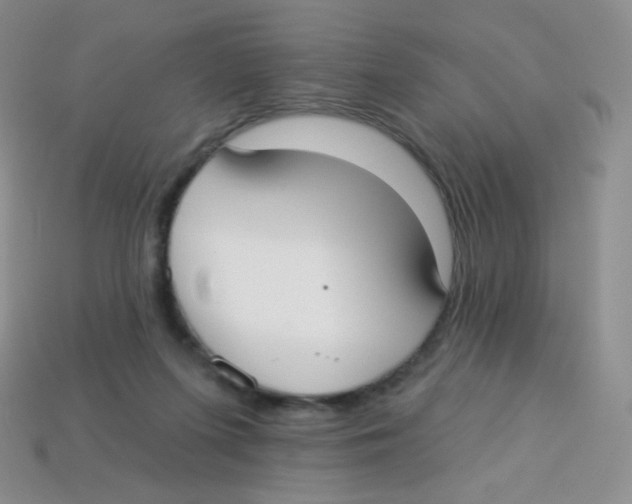 X0000113900215200910221445