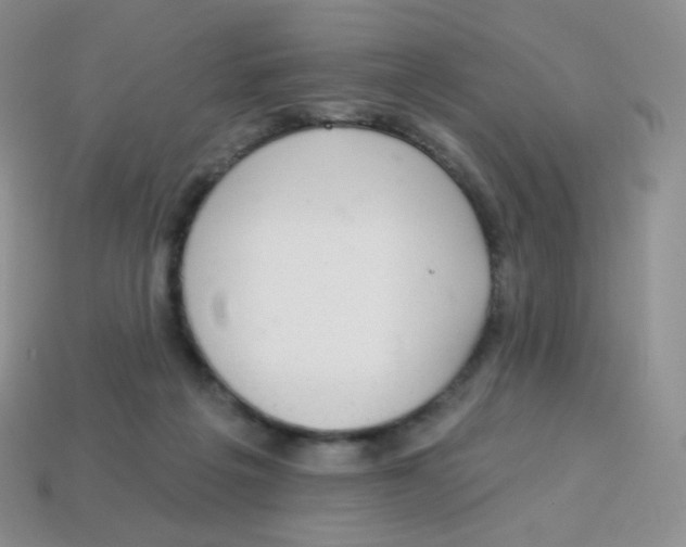 X0000113900217200910221445