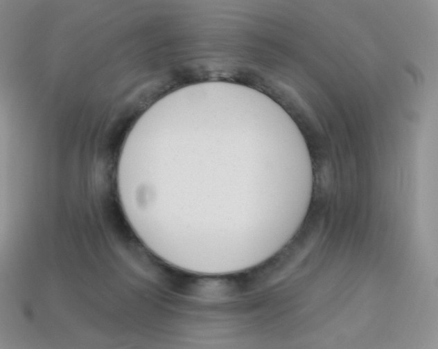 X0000113900218200910221445