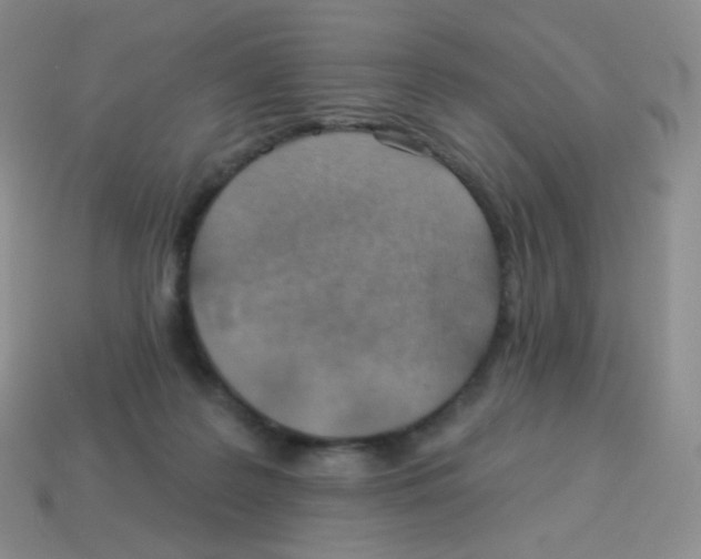 X0000113900219200910221445