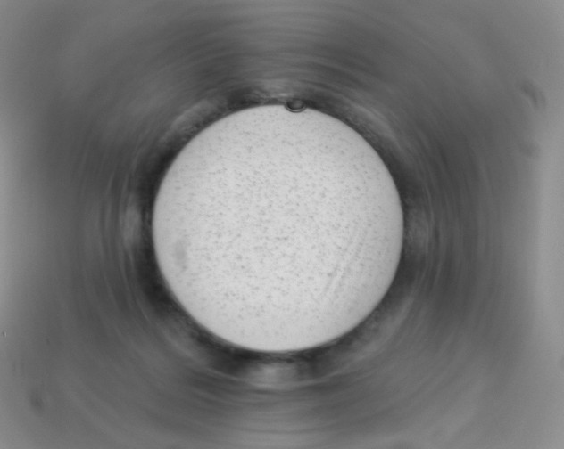 X0000113900220200910221445