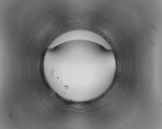 X0000113900221200910221445