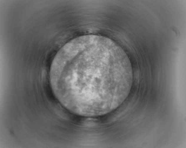 X0000113900222200910221445