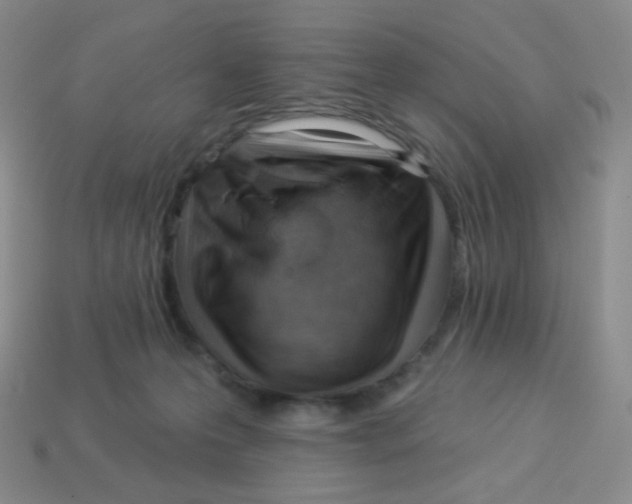 X0000113900223200910221445