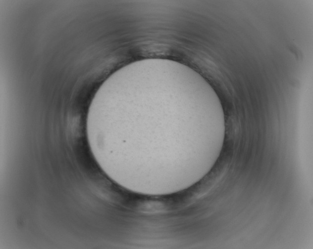 X0000113900224200910221445