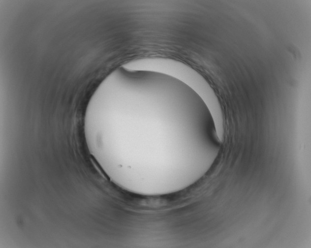 X0000113900225200910221445