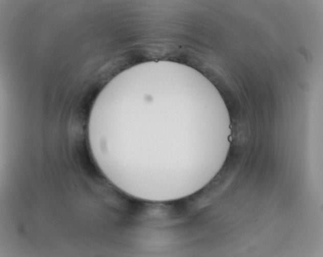 X0000113900226200910221445