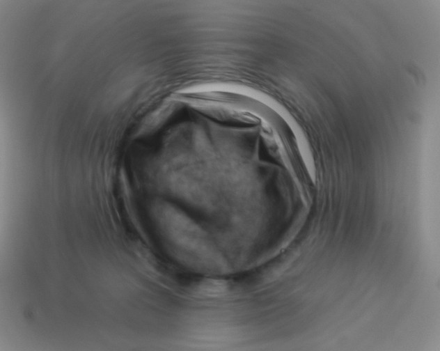 X0000113900227200910221445