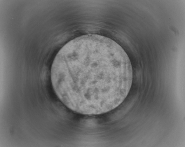 X0000113900228200910221445