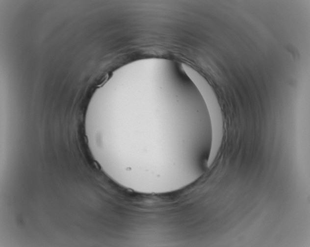 X0000113900229200910221445