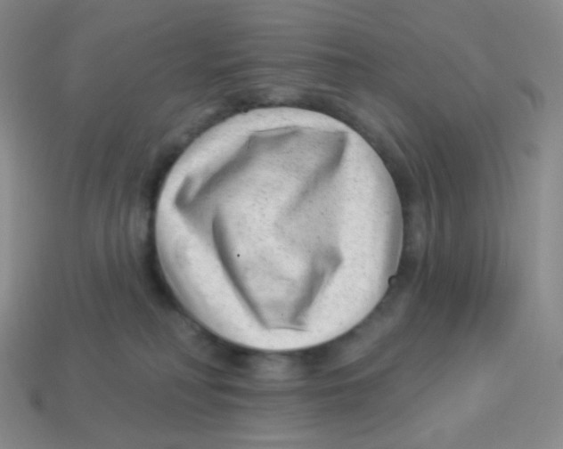 X0000113900230200910221445