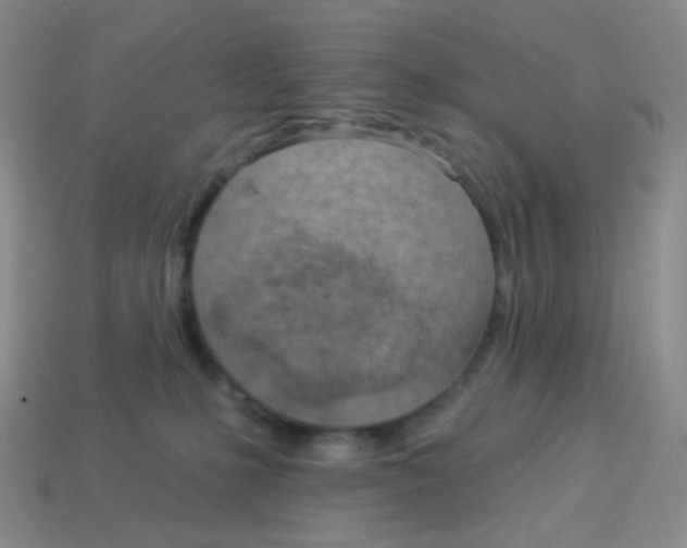 X0000113900231200910221445
