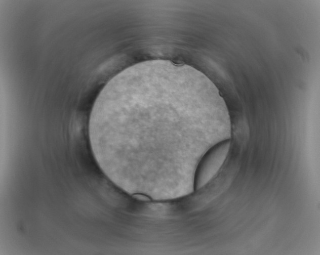 X0000113900233200910221445