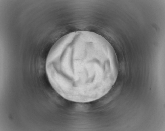 X0000113900234200910221445