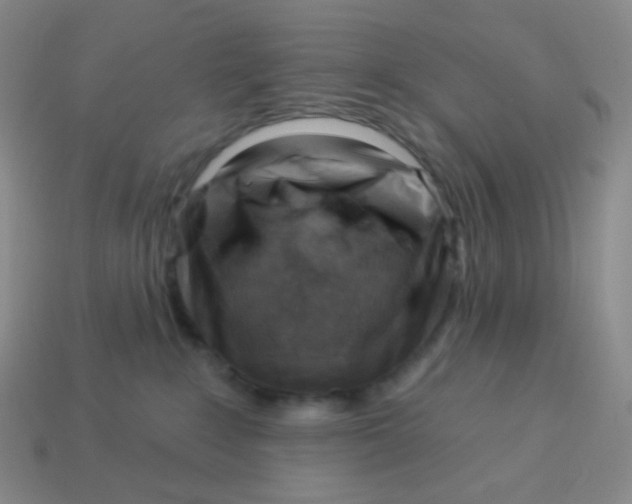 X0000113900235200910221445