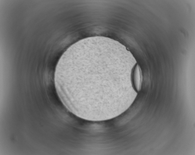 X0000113900236200910221445